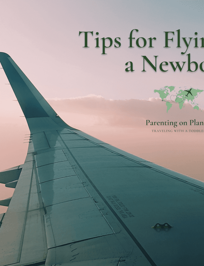 Image Header: Tips for Flying with a Newborn