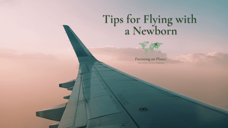 Image Header: Tips for Flying with a Newborn